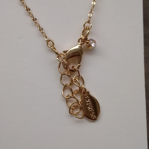 Express Teal Tassel Pendant Necklace - Picture 3 of 4